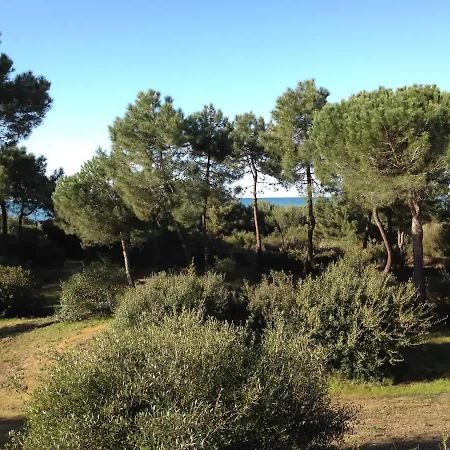 Tenuta Le Marze Castiglione della Pescaia Exteriér fotografie