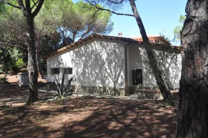 Tenuta Le Marze Castiglione della Pescaia Exteriér fotografie