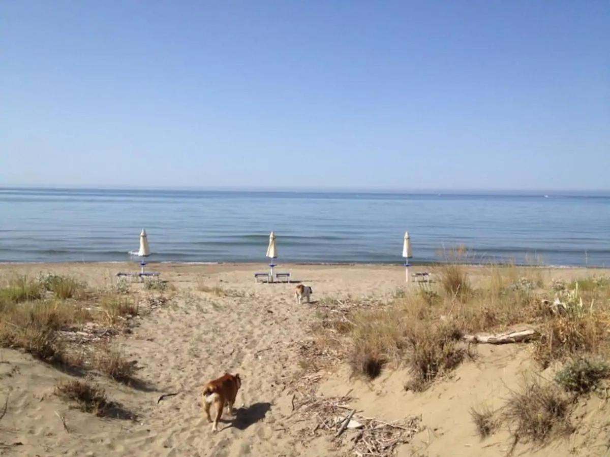 Tenuta Le Marze Castiglione della Pescaia Exteriér fotografie