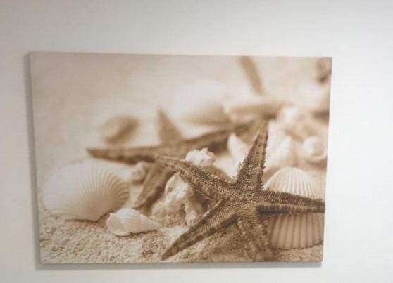 Tenuta Le Marze Castiglione della Pescaia Exteriér fotografie
