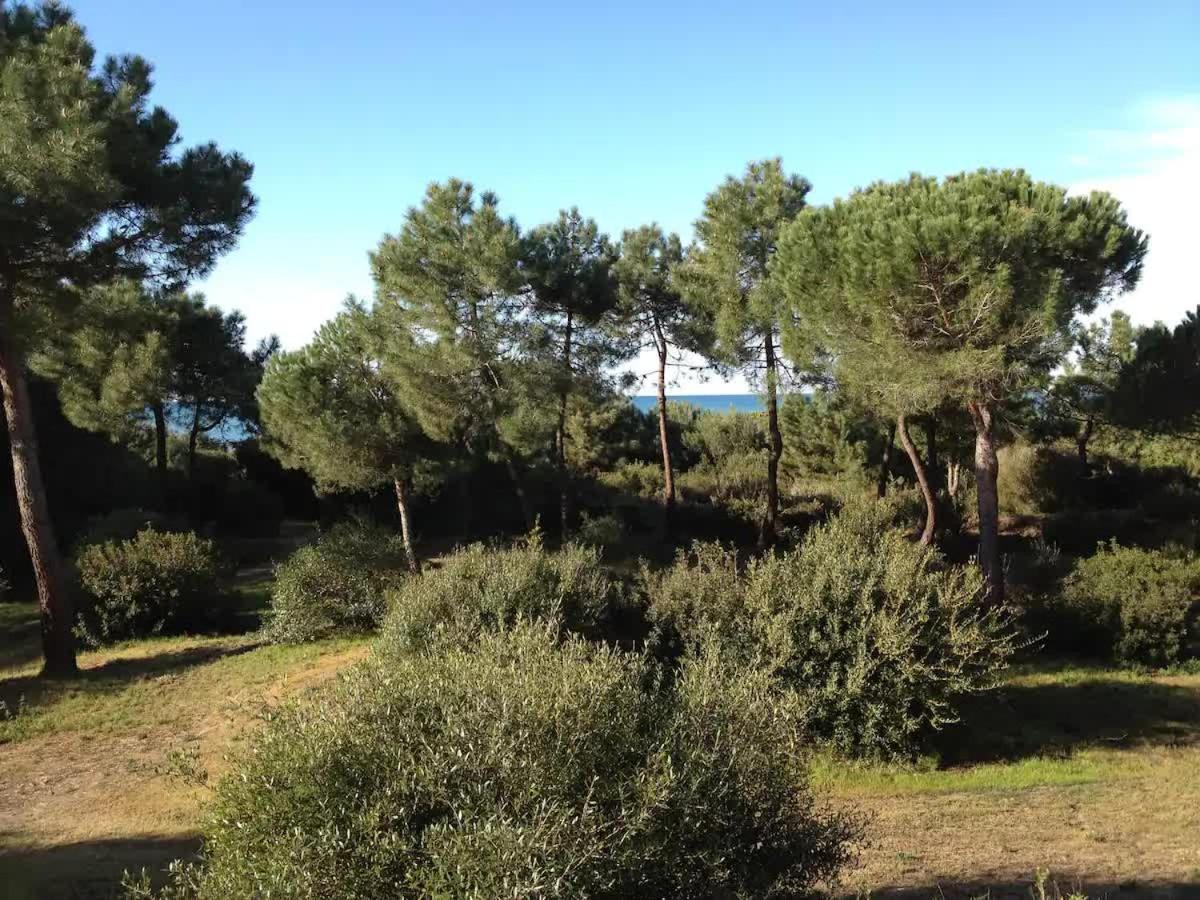 Tenuta Le Marze Castiglione della Pescaia Exteriér fotografie