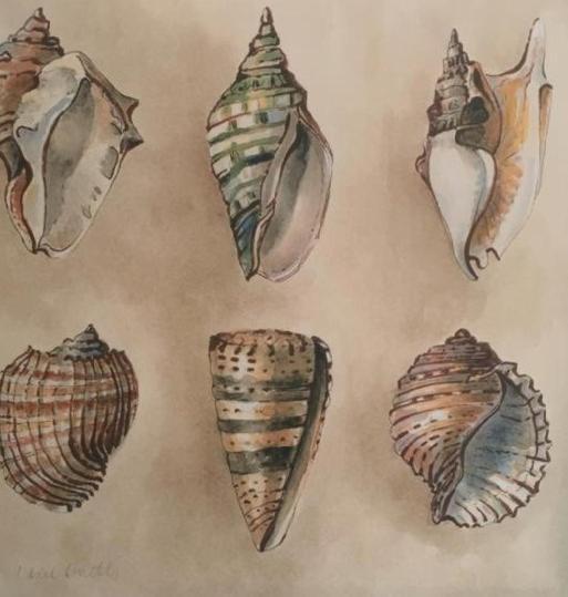Tenuta Le Marze Castiglione della Pescaia Exteriér fotografie