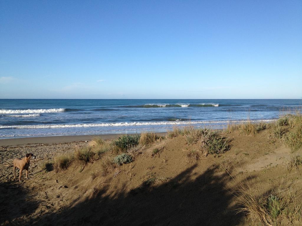 Tenuta Le Marze Castiglione della Pescaia Exteriér fotografie