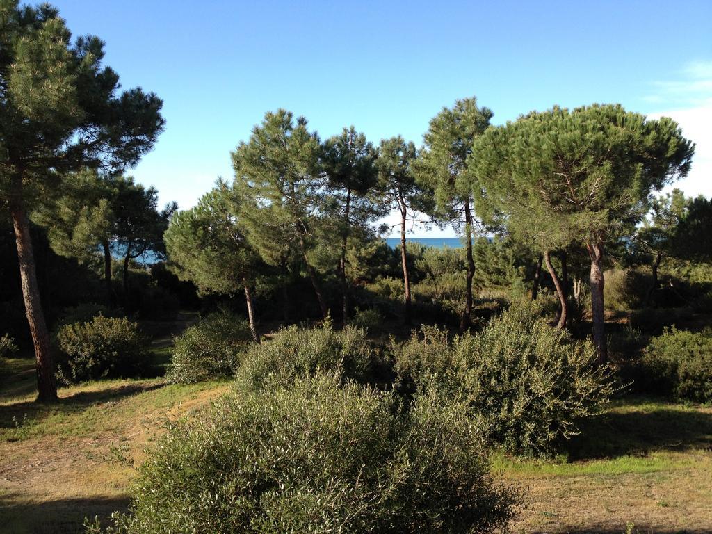 Tenuta Le Marze Castiglione della Pescaia Exteriér fotografie
